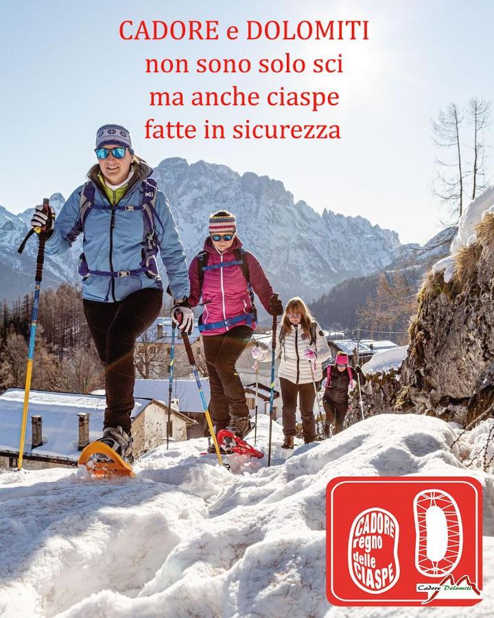 Villa Nani Pieve di Cadore Bagian luar foto